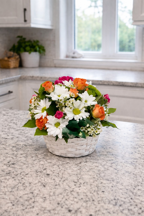 Daisy Delight