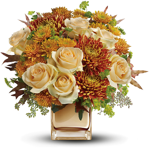 Autumn Romance
