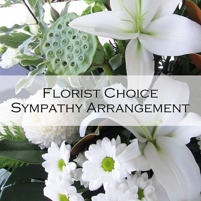 Designer Choice- Sympathy