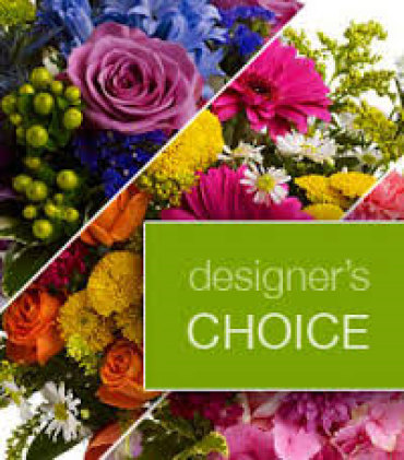 Small Designer Choice Arrangement