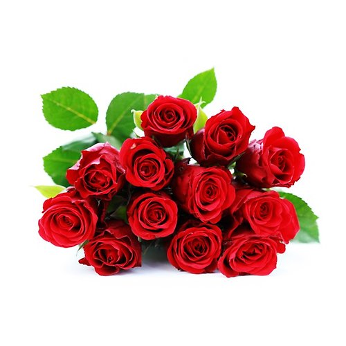 Twelve Red Roses Wrapped