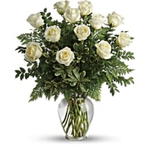Joy Of Roses
