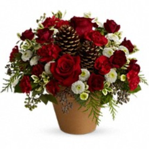 Winter\'s Gift