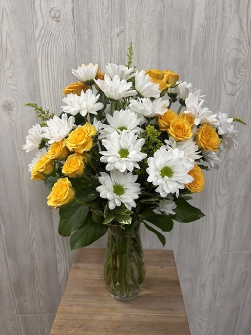 Amazing Daisy