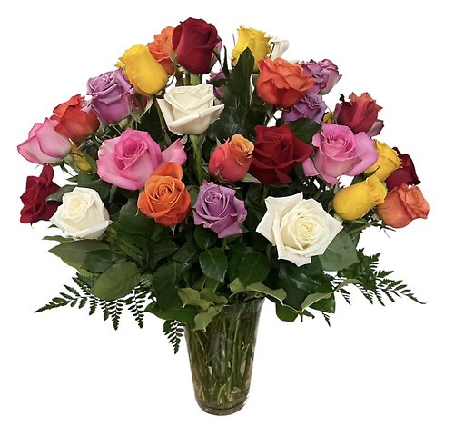 Rainbow of Roses