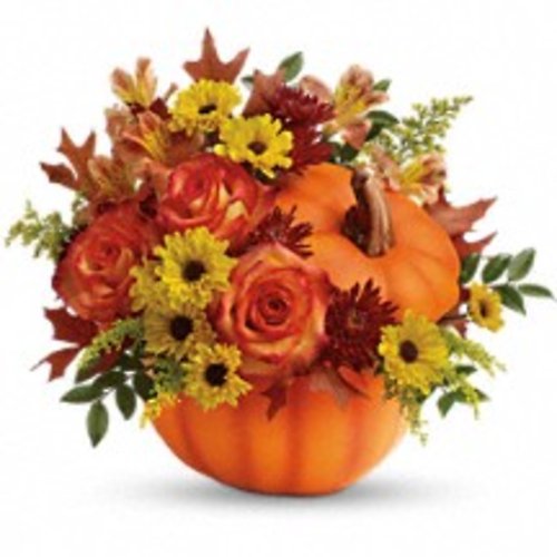 Warm Fall Wishes