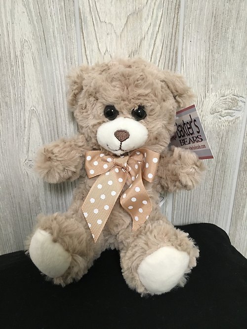 Small Teddy Bear