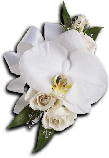 White Orchid and Rose Pin On Corsage