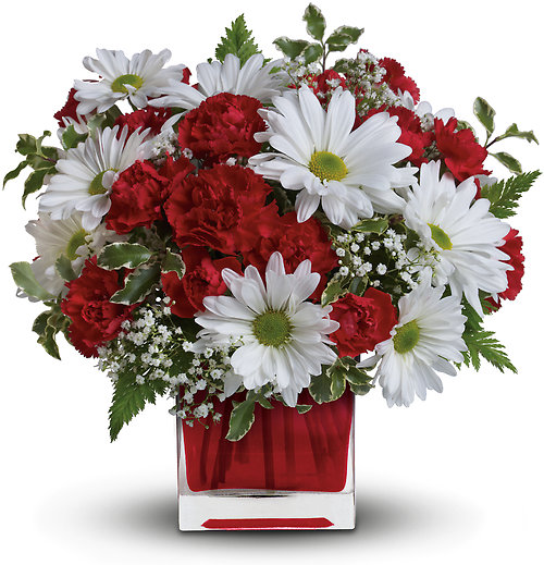 Red & White Delight