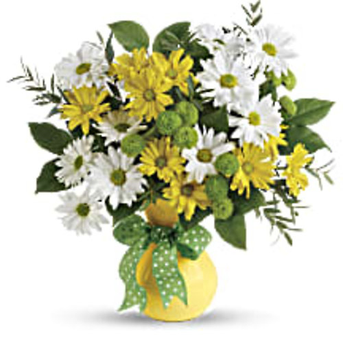 Daisies and Dots