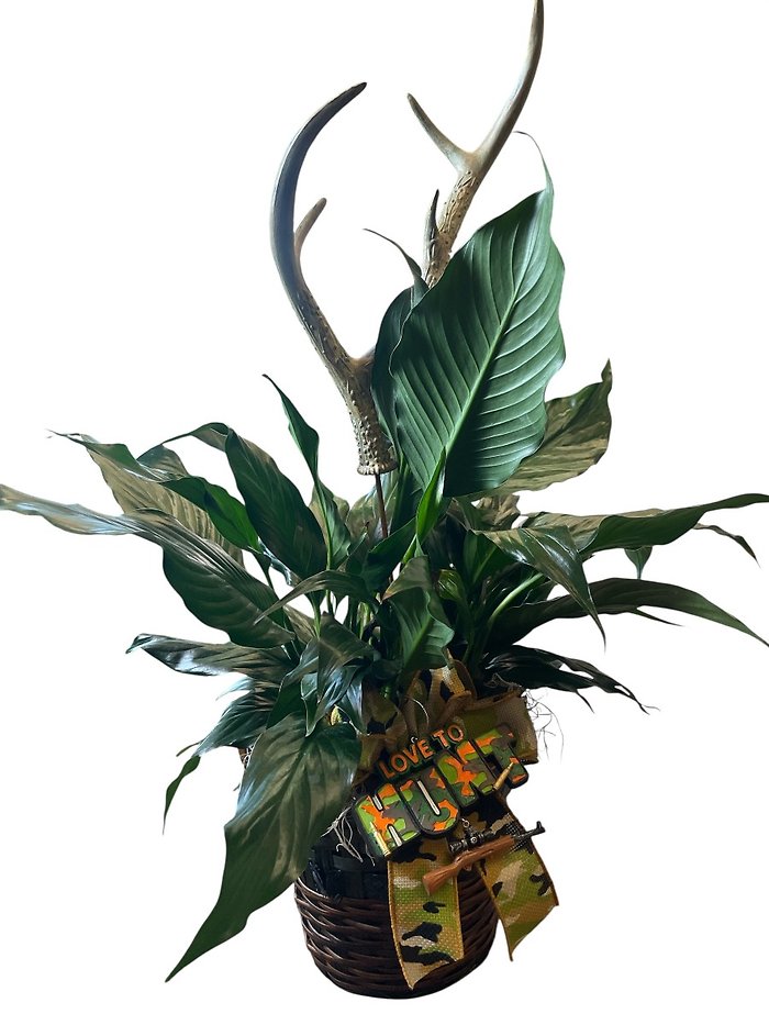 Hunter\'s Haven Peace Lily