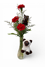 Carnations & Cuddles