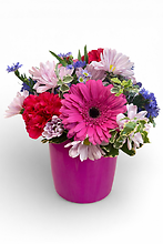 Spring Blush Arrangement