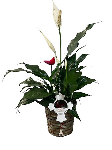 Forever Remembered Peace Lily