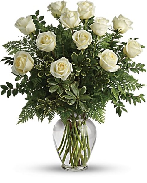 Joy Of Roses
