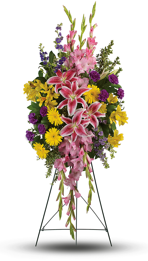 Rainbow of Remembrance Spray