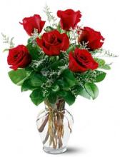 Six Red Roses with Caspia