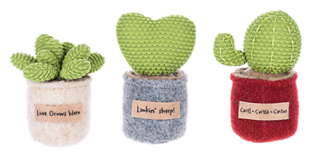 Cute Plush Cactus