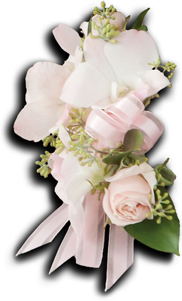 Beautiful Blush Pin On Corsage