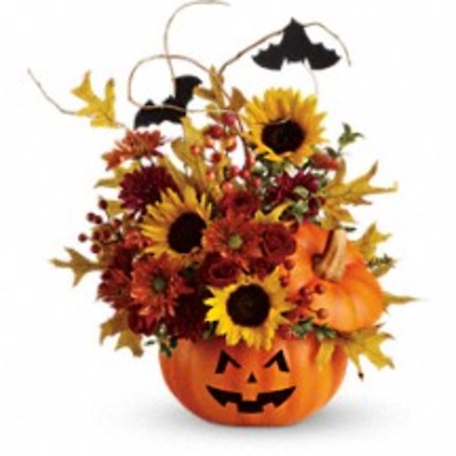 Trick & Treat
