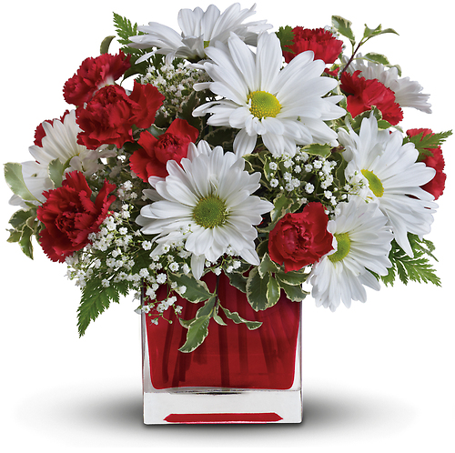 Red & White Delight