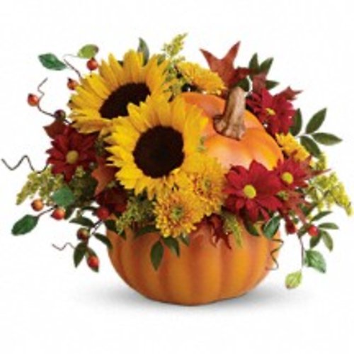 A Pretty Pumpkin