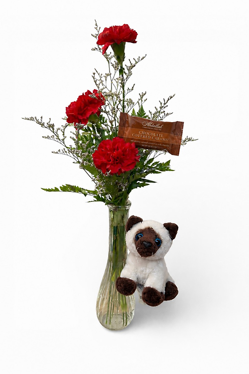 Carnations & Cuddles