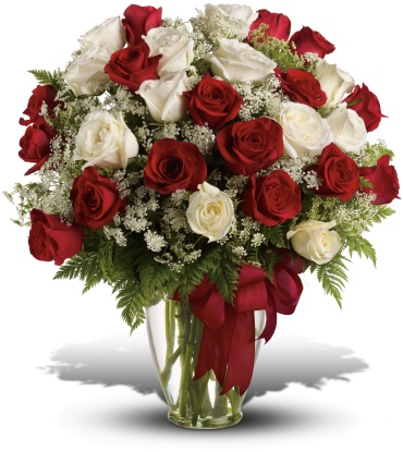 Love\'s Divine - 20 Premium Long Stemmed Roses