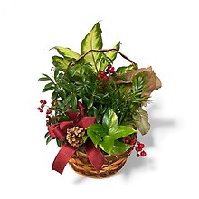 Winter Garden Basket