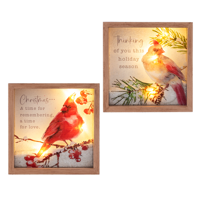 Light up Cardinal Shadow Box